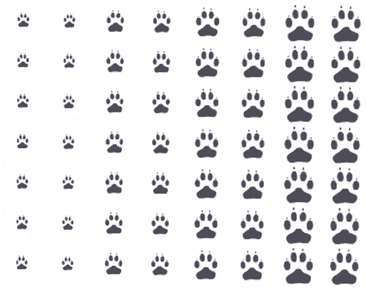 Pawprints
