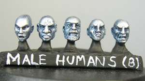 Human male heads (b)