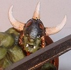 Mjolnir Haxelfrei480
